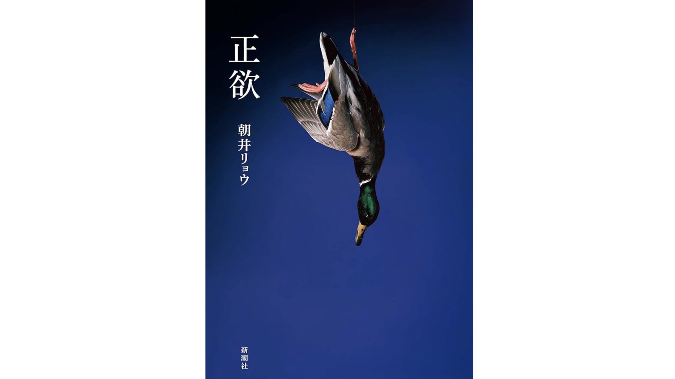 正欲 | 朝井リョウ（著） | 世界書店 | WORLD BOOKSTORE